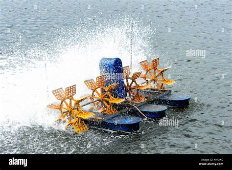 are those paddlewheels authantic or is the wheel fake